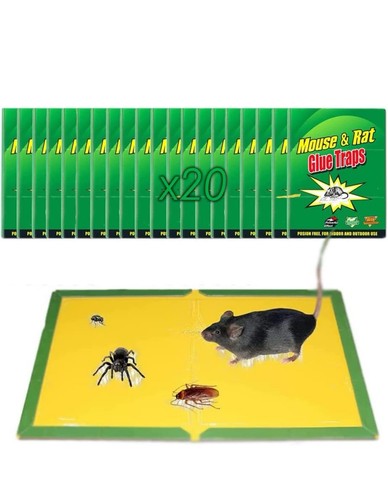 Trappole adesive per topi - per,