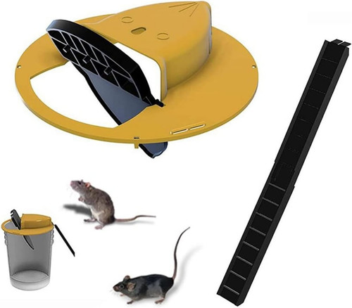 Trappola per topi con - topi,