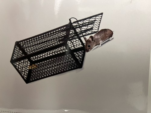 Trappola cattura topi vivi - , a
