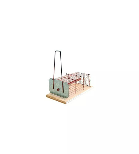 Trappole per topi - topi, a