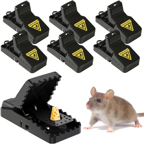 Pezzi trappola per - pezzi, topi