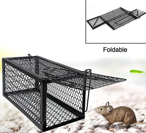 Gabbia cattura topi trappola - gabbia,