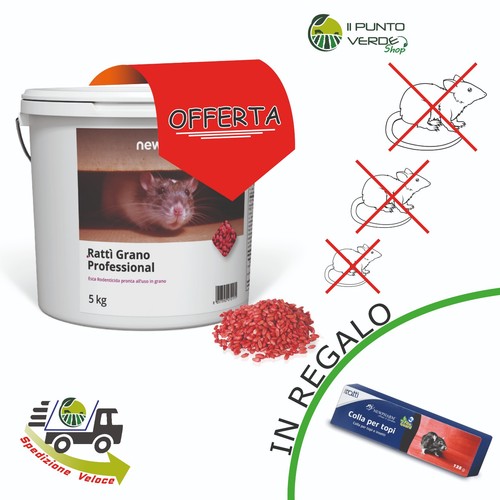 Ratti grano esca - esca,