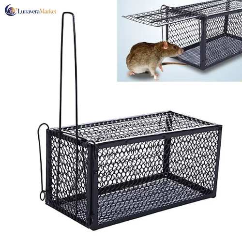 Trappola per topi - trappola,